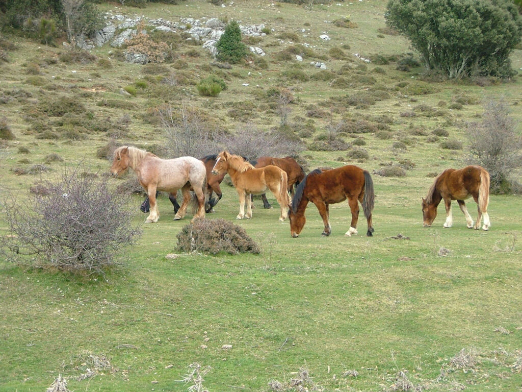 Que ver en los alrededores…